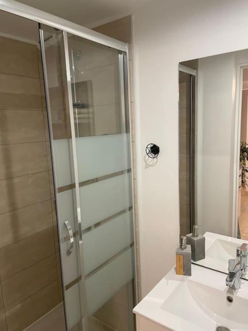 Le Cocon Balneo Apartment Sens Ngoại thất bức ảnh