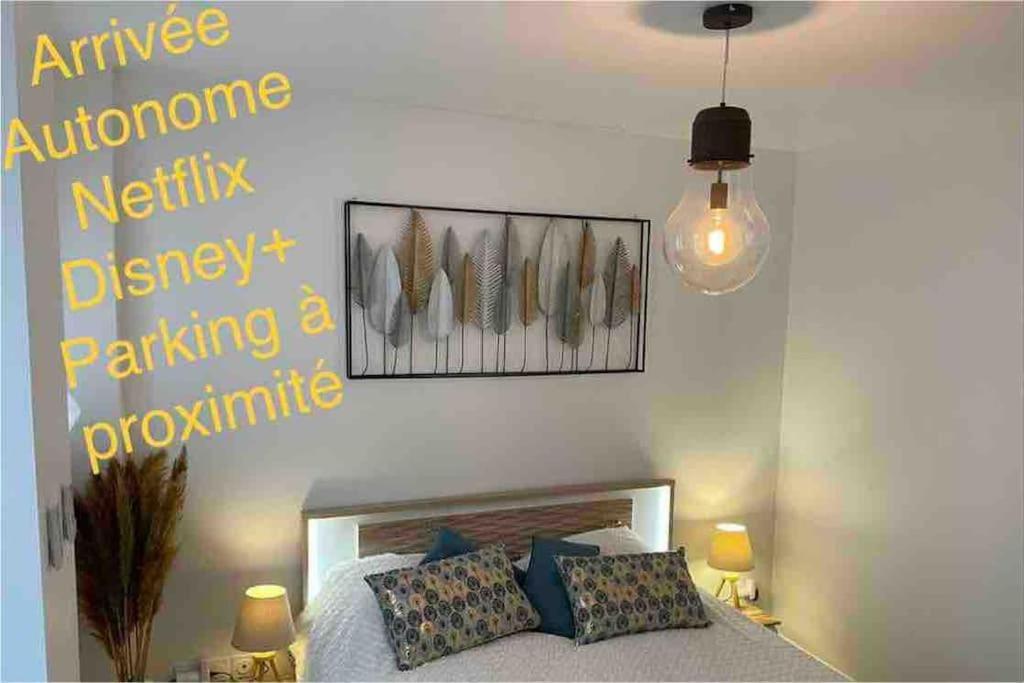 Le Cocon Balneo Apartment Sens Ngoại thất bức ảnh